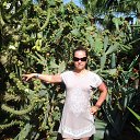 ���� ���, ����������, 44 ���� - ��������� 26 �������� 2017