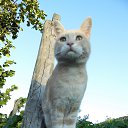 ���� �������, �����-���������, 58 ��� - ��������� 6 ������� 2017 � ������ ���� ����������