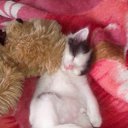 ���� �����, ������������, 64 ���� - ��������� 21 ������ 2017 � ������ ������ ��������