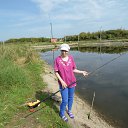 ���� ���������, ����������, 51 ��� - ��������� 28 ������� 2017 � ������ ���� ����������