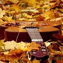 ���� �������, ����� - ��������� 19 ������� 2017 � ������ ���� ����������