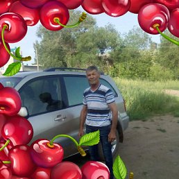 ���� �������, ��������, 71 ��� - ��������� 5 ������ 2017