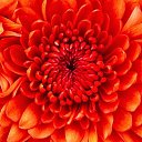 ���� Aleksandr, �������, 50 ��� - ��������� 28 ������� 2017