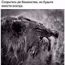 ���� ���������, ����-���� - ��������� 17 ���� 2017 � ������ ������ ��������