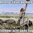 ���� �����, ���������, 45 ��� - ��������� 2 ��� 2017