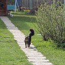 ���� ����������, ������, 39 ��� - ��������� 9 ��� 2017 � ������ ������ ��������