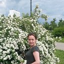 ���� ������, ������, 42 ���� - ��������� 5 ���� 2017 � ������ ���� ����������