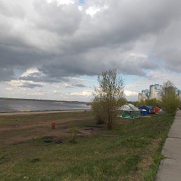 Nata, ������ ��������, 50 ���