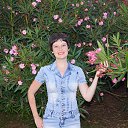  , --, 43  -  22  2017    