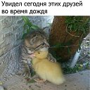 ���� ��������, �������� - ��������� 26 ������� 2017 � ������ ������ ��������
