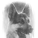 ���� ������� ����, ������, 27 ��� - ��������� 1 ���� 2017 � ������ ���� ����������