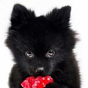 ���� Arthur, �������, 46 ��� - ��������� 21 ������ 2017