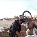 ���� ��������, ��������, 59 ��� - ��������� 30 ������� 2017 � ������ ���� ����������