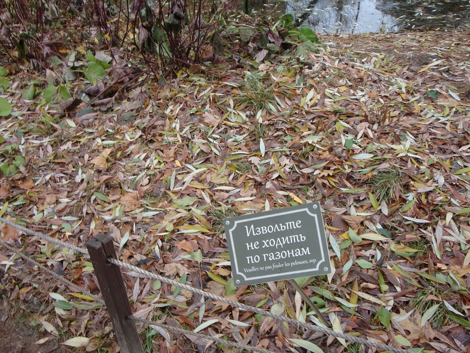 Log Alla - 16 ������ 2017 � 05:03