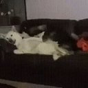 ���� ����, ������� - ��������� 27 ������� 2017 � ������ ������