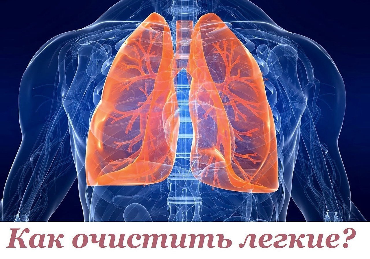 Как очистить легкие? Большинство из нас живёт в загрязнённых и загазованных городах, и во многих ...