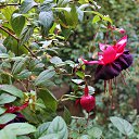  , , 60  -  24  2017    -,18,21.10.17.