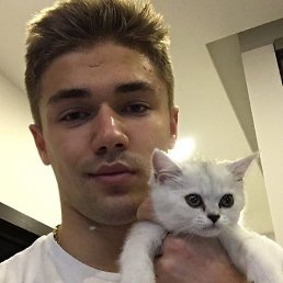 Dima, �����-���������