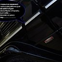  , , 36  -  31  2017    .  .