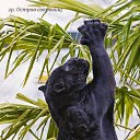 ���� ����� �����, ����, 50 ��� - ��������� 2 ������� 2017 � ������ �������� ������