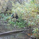 ���� ������, ������ - ��������� 16 ������� 2017 � ������ ���� ����������