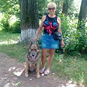 30.06.2017 �. �� ������� ���� ����������