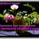 ���� ���, ������� - ��������� 22 ������ 2017 � ������ ���� ����������