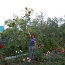 ���� �����, ������, 51 ��� - ��������� 5 �������� 2017 � ������ ���� ����������