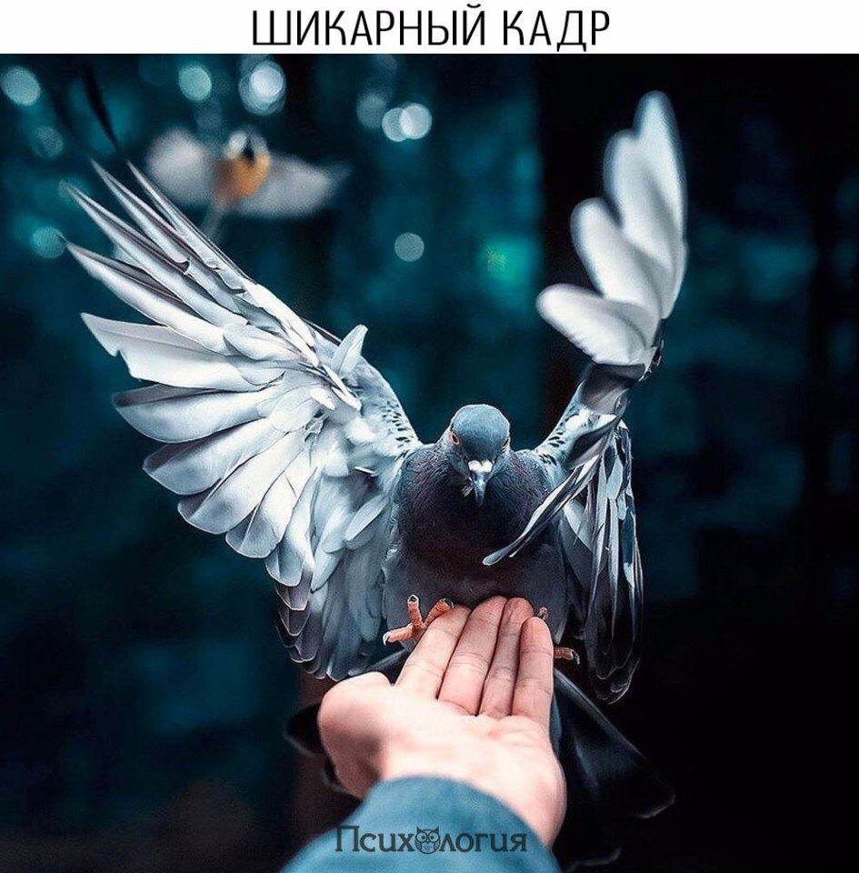  - 7  2017  19:31