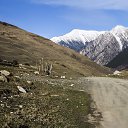 ���� Lilly, ����������� - ��������� 19 ��� 2017 � ������ ������ ��������