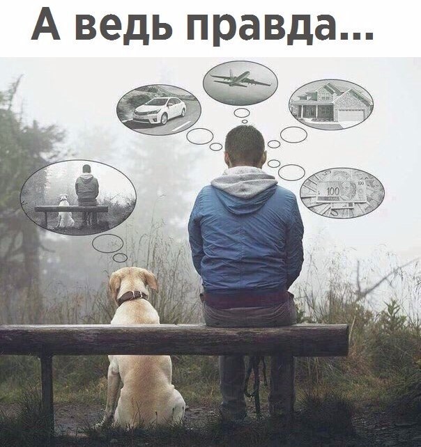    ! - 20  2017  14:14