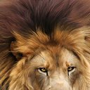 ���� ������, �������� - ��������� 27 ���� 2017 � ������ ���� ����������