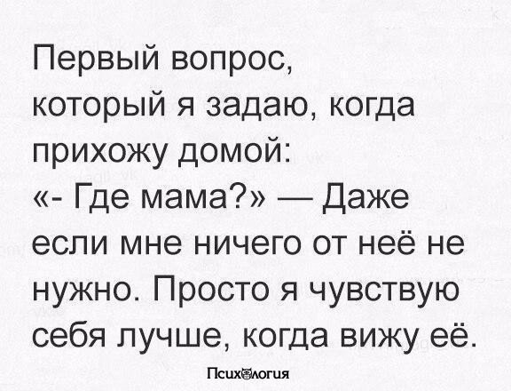  - 7  2017  03:38