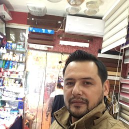 ����, �������, 41 ���