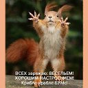 ���� �������, ��������, 55 ��� - ��������� 20 ������ 2017 � ������ ���� ����������