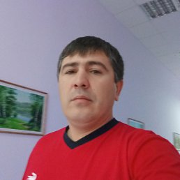 �����������, 47 ���, ���������