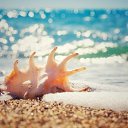 ���� ������, ���������� ����� - ��������� 20 ���� 2017 � ������ ������ ��������