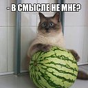 ���� ����, ������-��-����, 54 ���� - ��������� 12 �������� 2017 � ������ ���� ����������