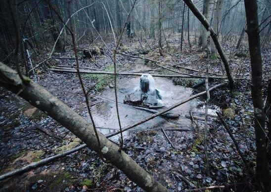 Чудеса вокруг Петербурга: Гатчинские гейзеры. Одной из самых удивительных, но почему-то ... - 2