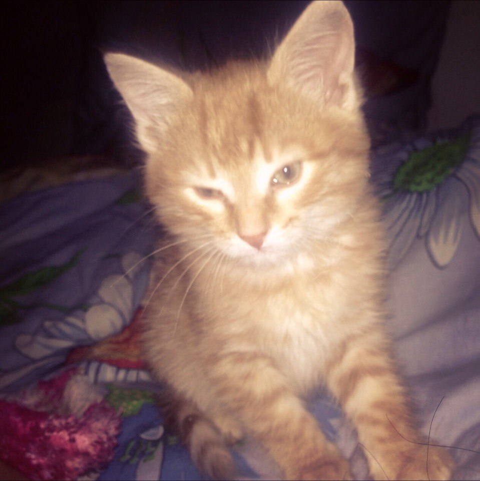 #_. , 2            300 ... - 2