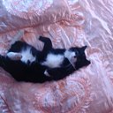 ���� ����, ������ - ��������� 8 ��� 2017 � ������ ���� ����������