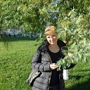 ���� �������, ������������, 50 ��� - ��������� 6 ��� 2017