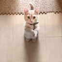 ���� ������, ���������, 47 ��� - ��������� 5 ������� 2017 � ������ ������ ��������
