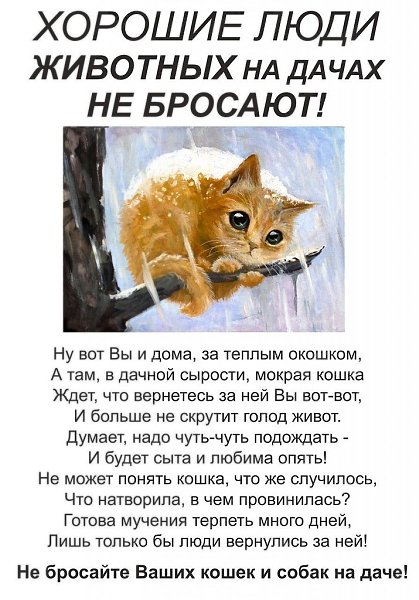 ��� ���� - 3 ������ 2017 � 03:14