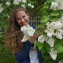 ���� �����, �����-���������, 33 ���� - ��������� 22 �������� 2017 � ������ ���� ����������