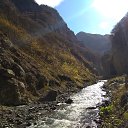 ������ �� ������� ���� ����������