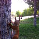 ���� ������, ����, 63 ���� - ��������� 9 ������ 2017 � ������ ���� ����������