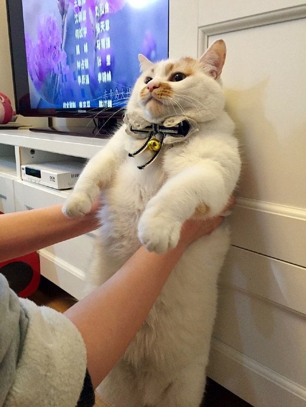        :