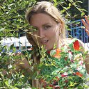 ���� �����, ������ - ��������� 29 �������� 2017 � ������ ���� ����������