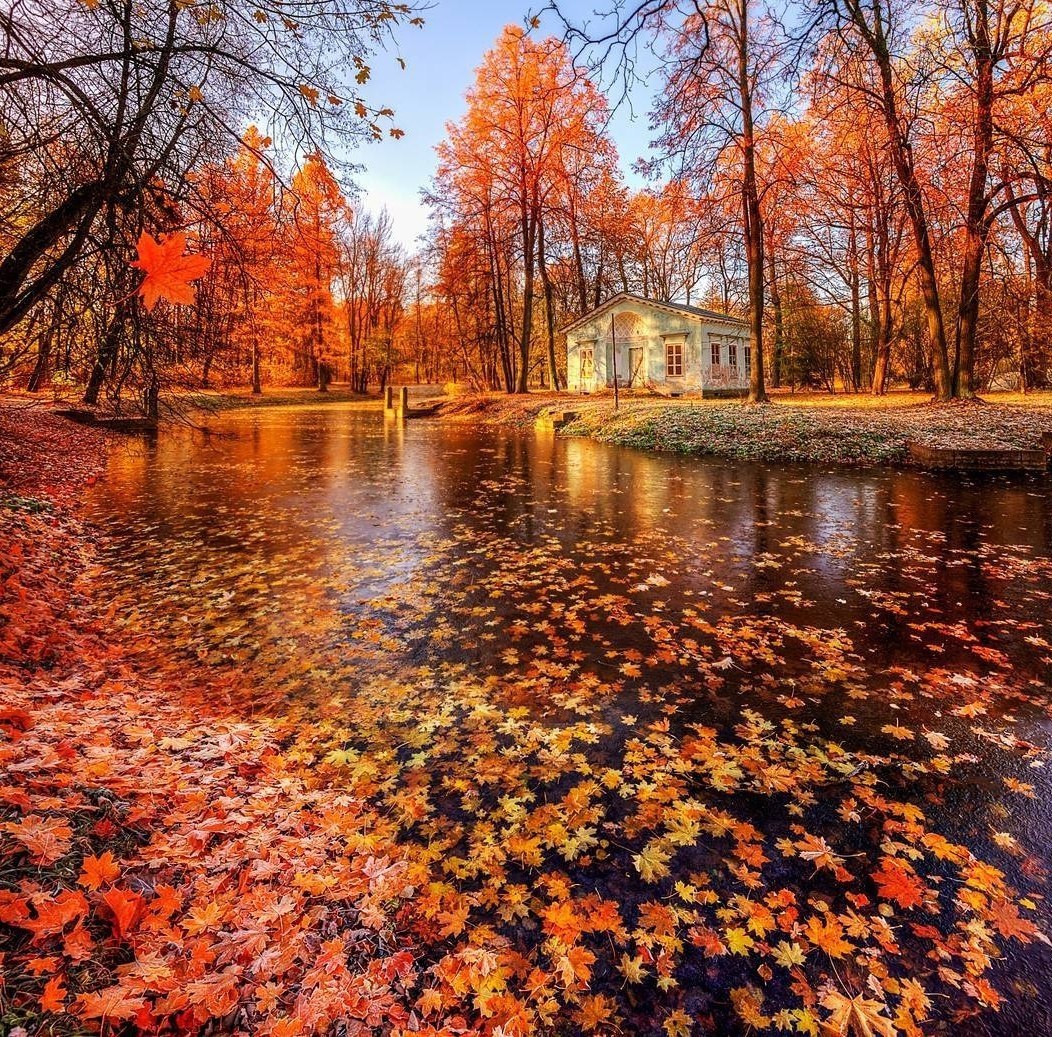 ����� ������ - 2 ������ 2017 � 03:49